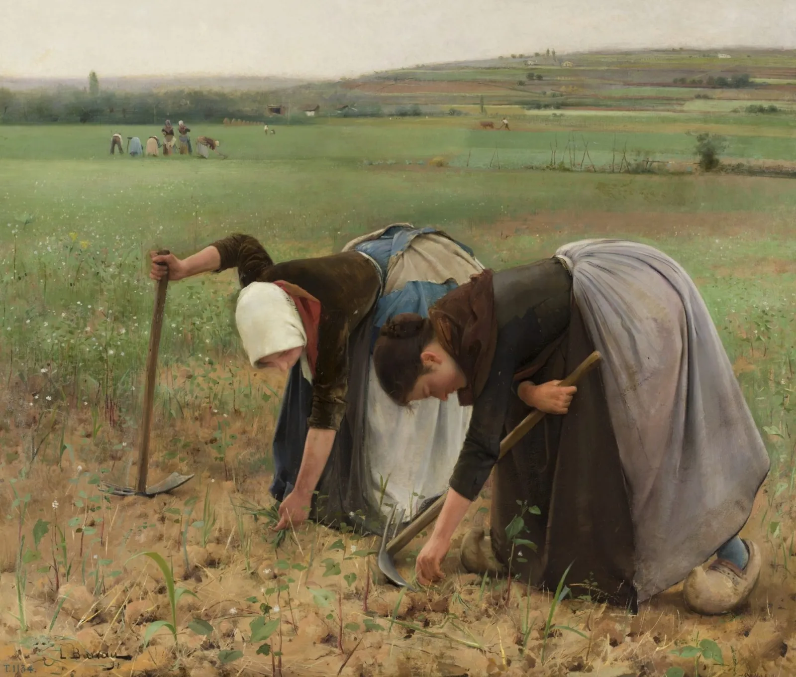 Two women in aprons bent double, weeding a field with hoes; more workers and a wide green plain stretch out behind them.