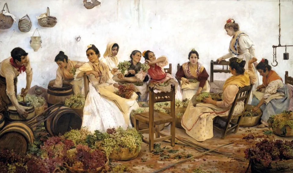 Women in shawls and flowered skirts sorting bunches of grapes in a whitewashed room, among baskets and barrels.